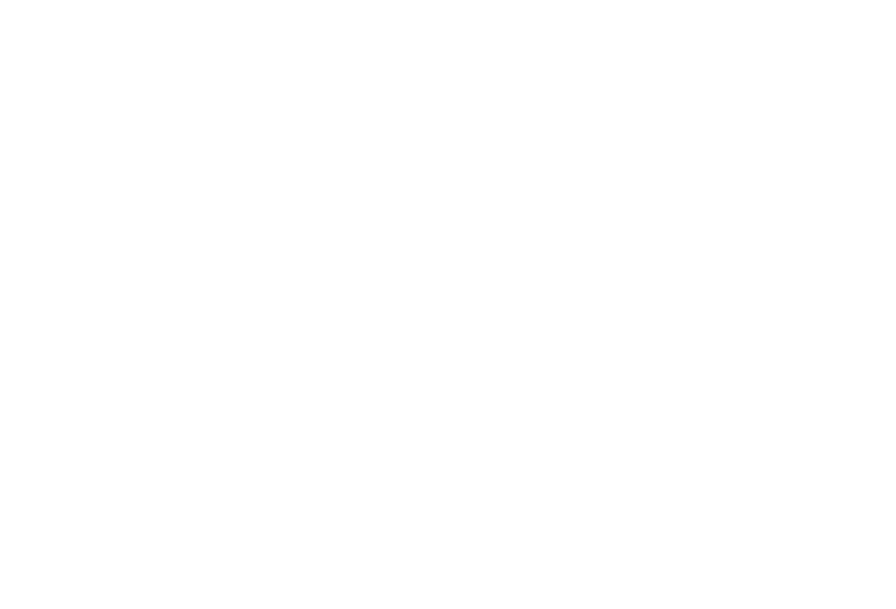 Pasini srl